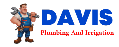 Trusted plumber in CONGER